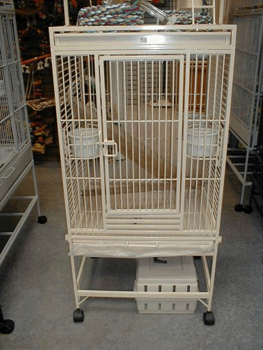 Bird Cage