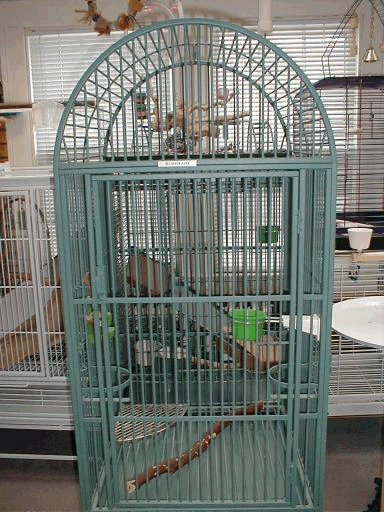 Bird Cage