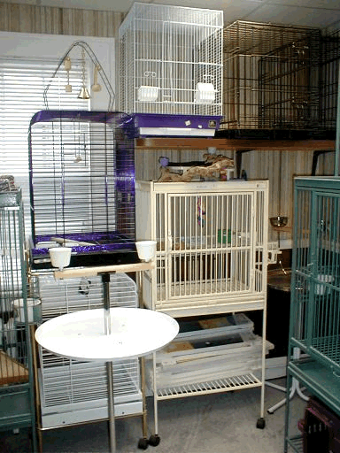 Bird Cage