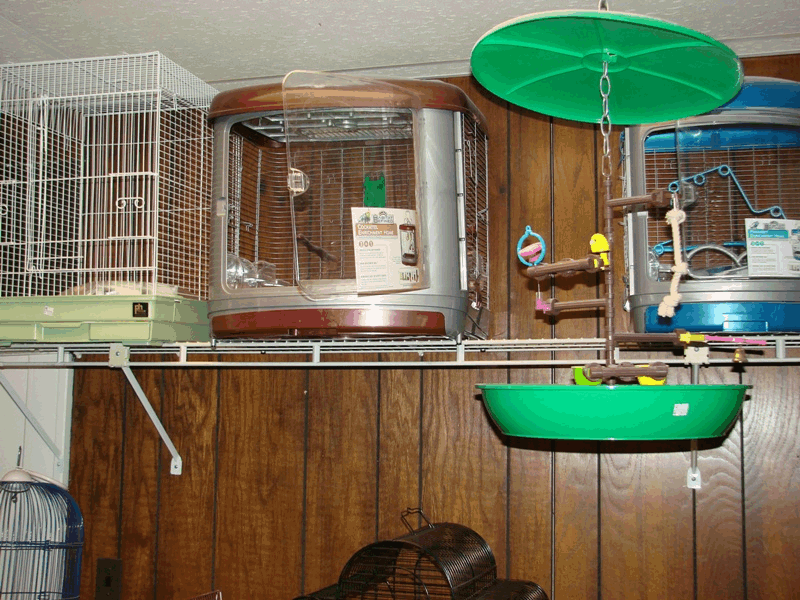 Bird Cage