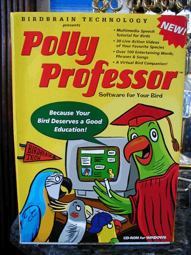 Polly Professor