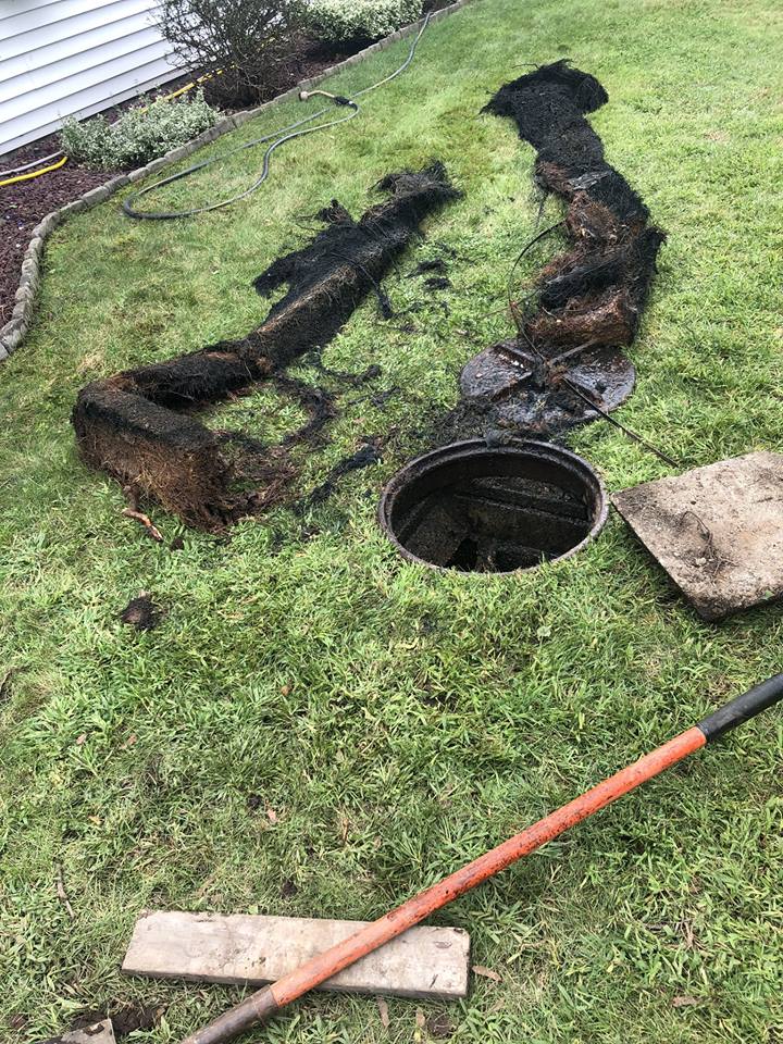 Sewer cleaning
