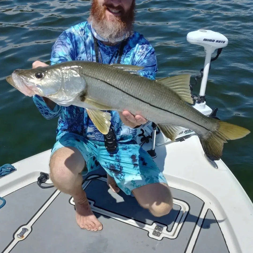 man blue shirt big fish