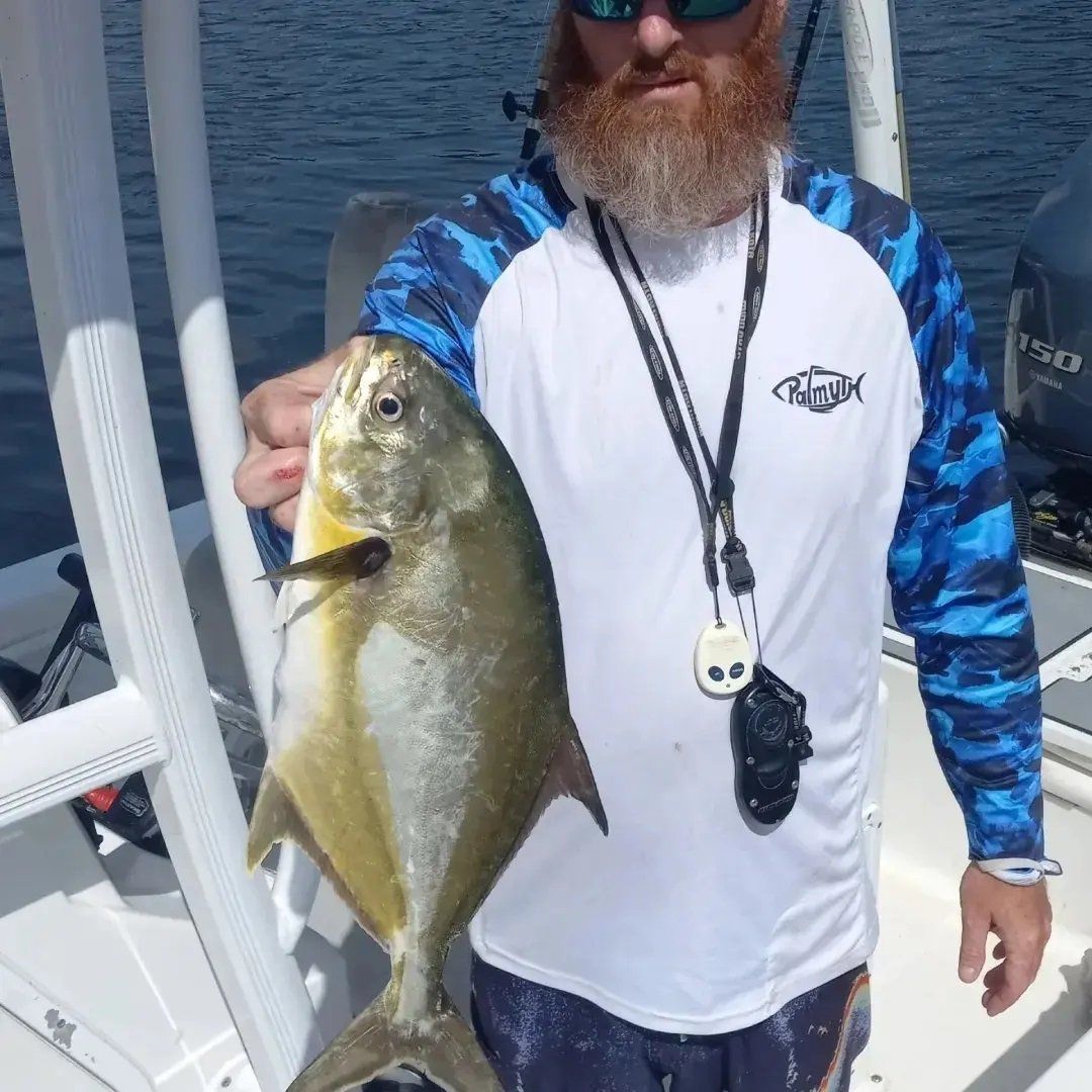 man white blue shirt catch fish