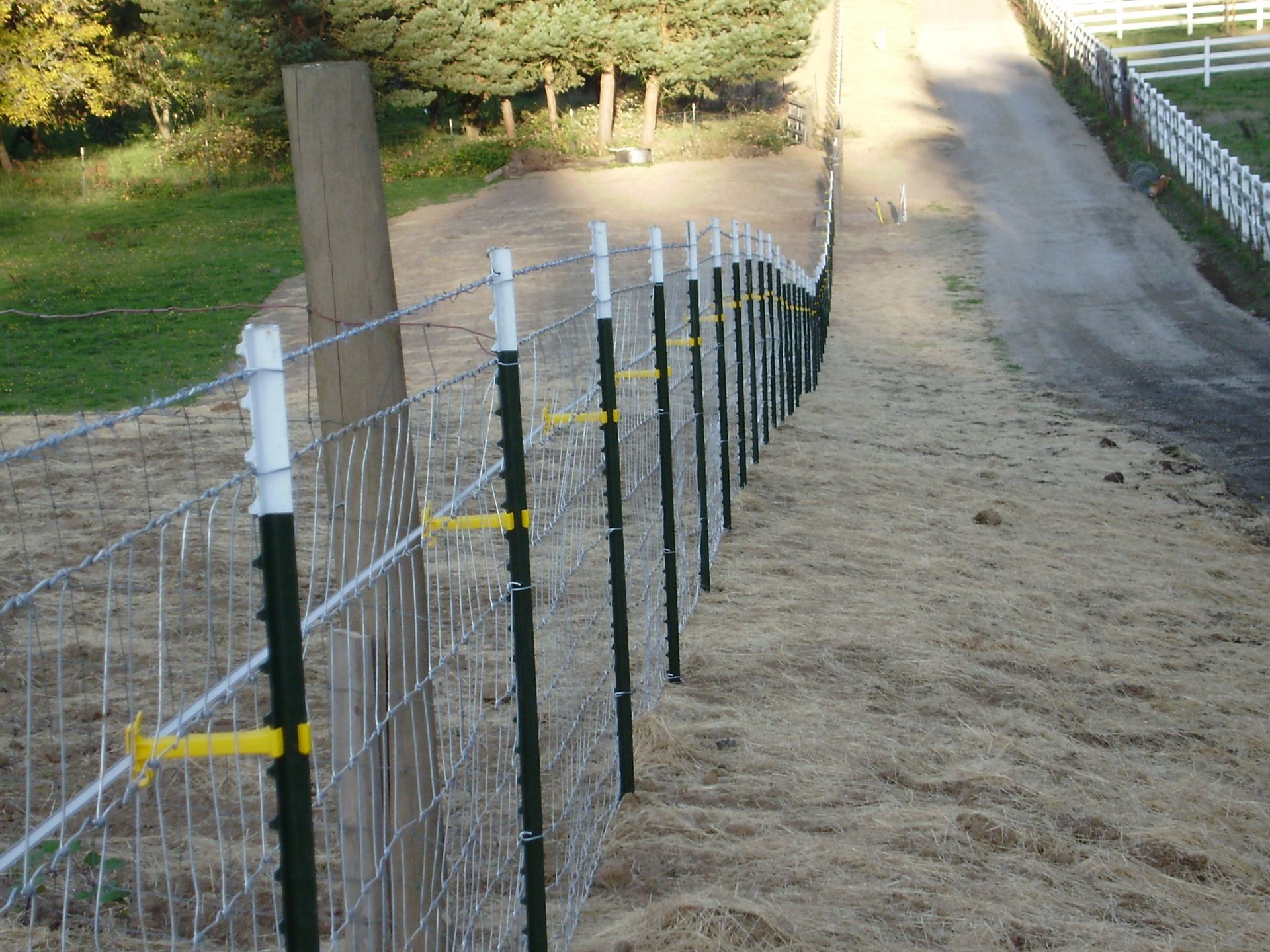 Chain-link fence