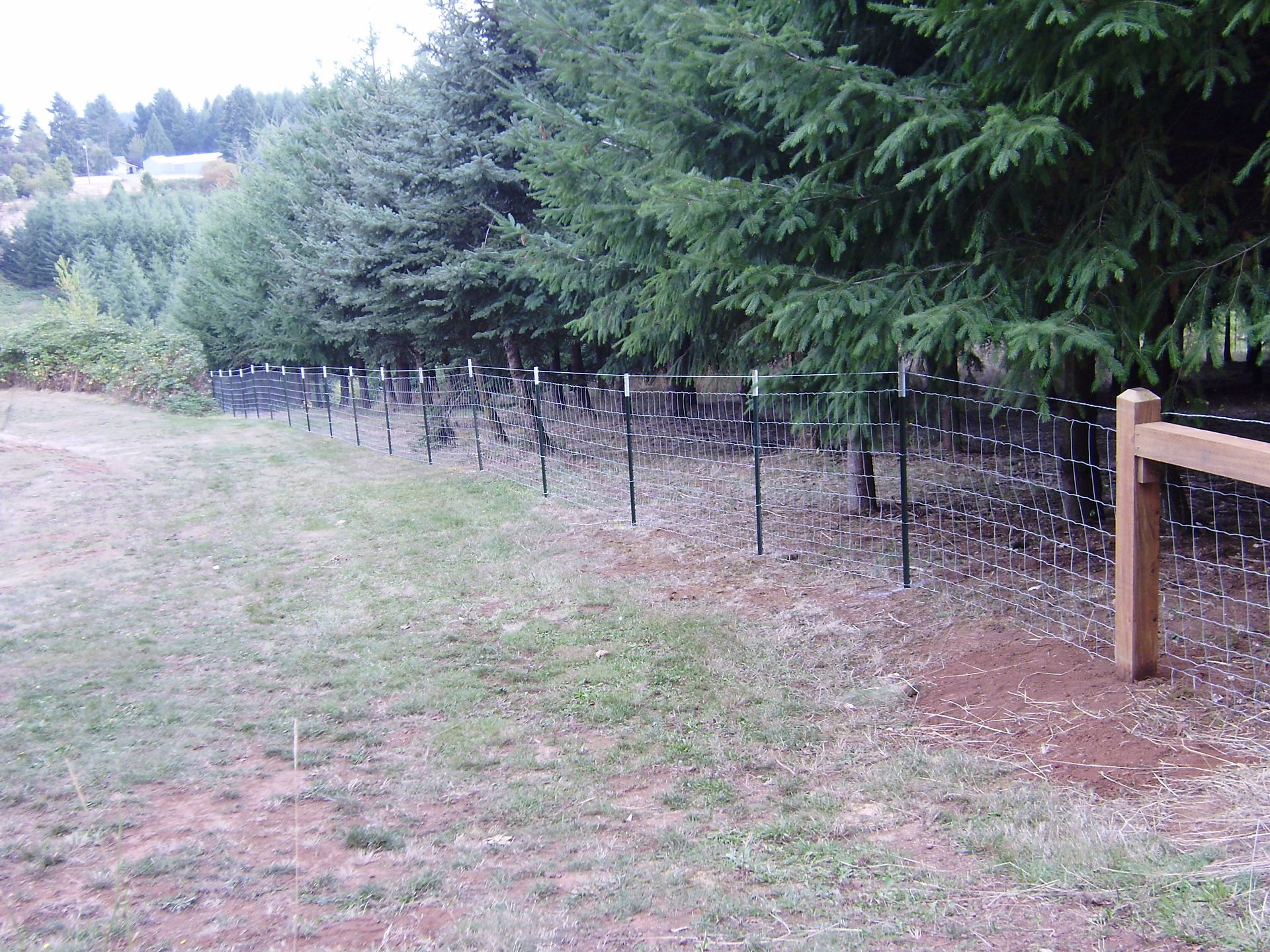 Chain-link fence