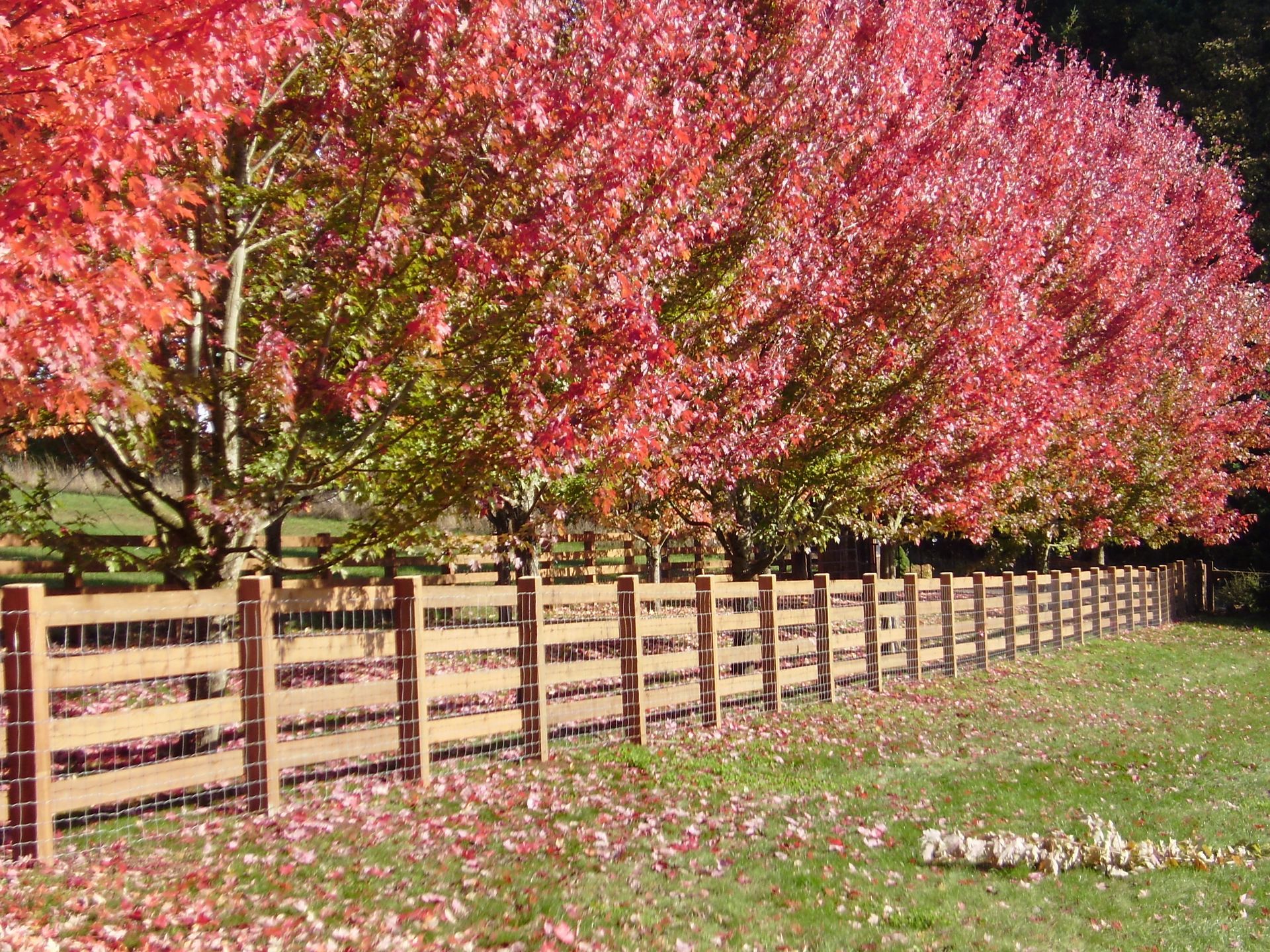 Farm fence