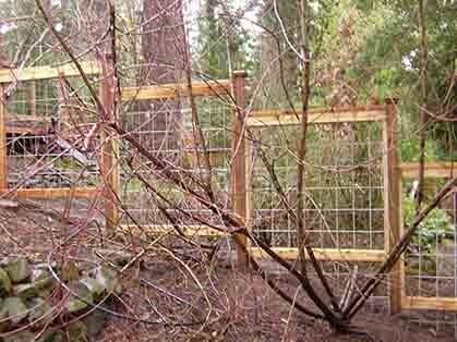 A wooden fence is surrounded by trees in a forest