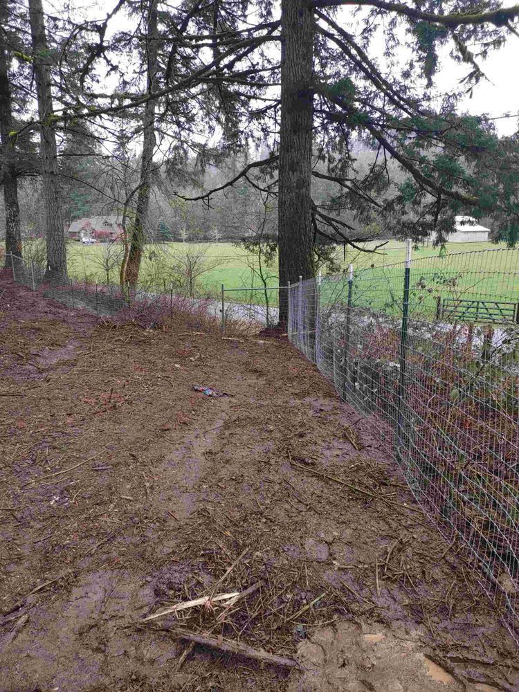 A fence surrounds a dirt field with trees in the background