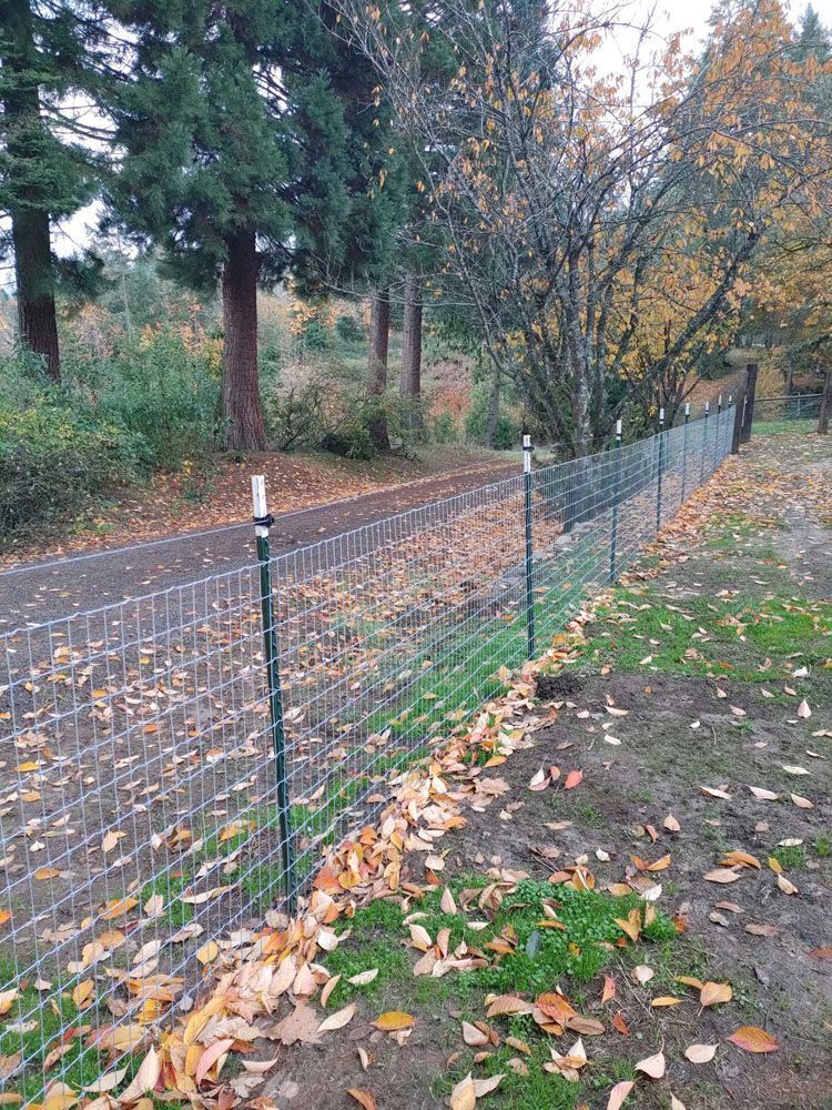 A fence with leaves on the ground next to a dirt road