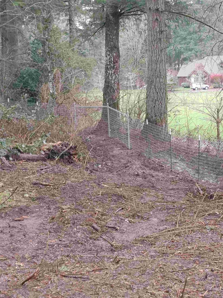 A fence is surrounded by trees and dirt