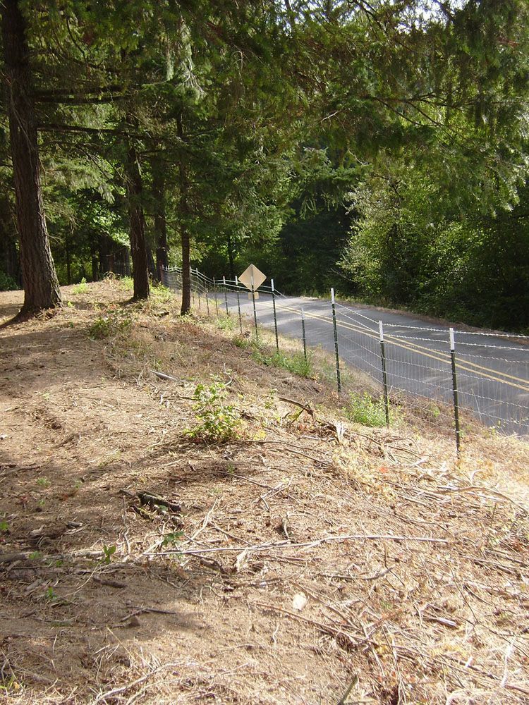 A road going through a farm with trees on both sides