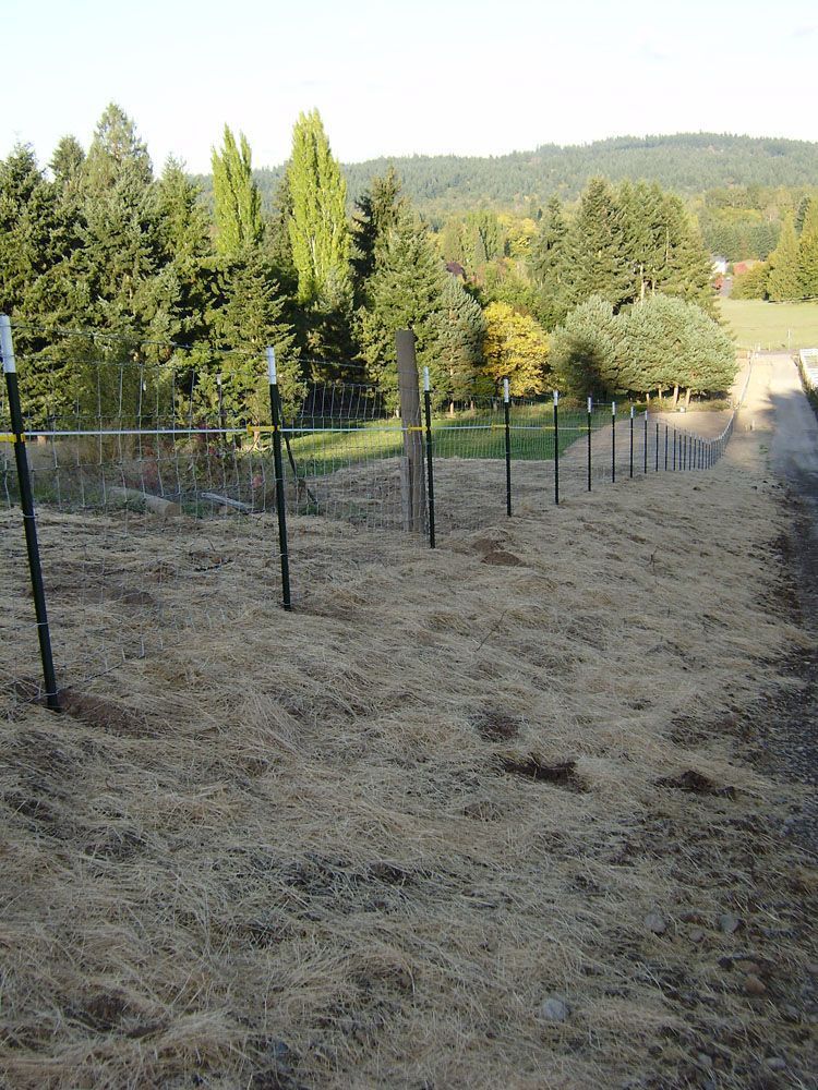 A dirt field with a fence and trees in the background