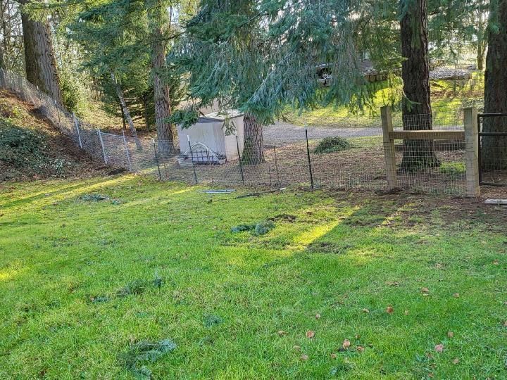 A lush green yard with a fence and trees in the background