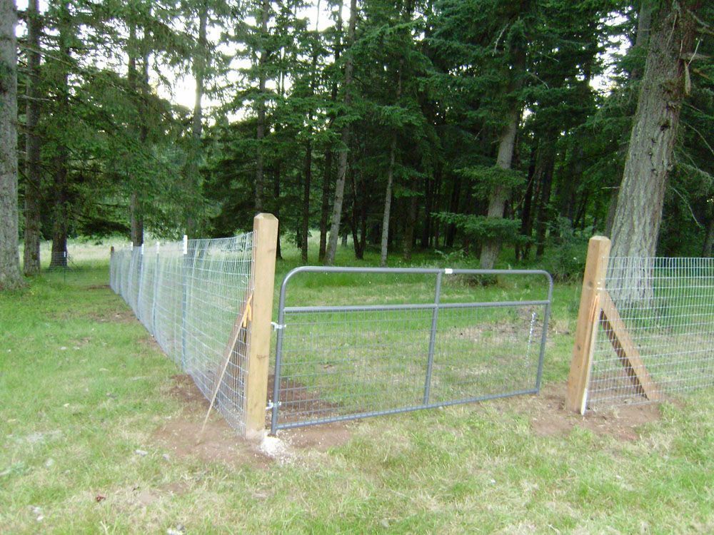A fence with a gate in the middle of a field with trees in the background