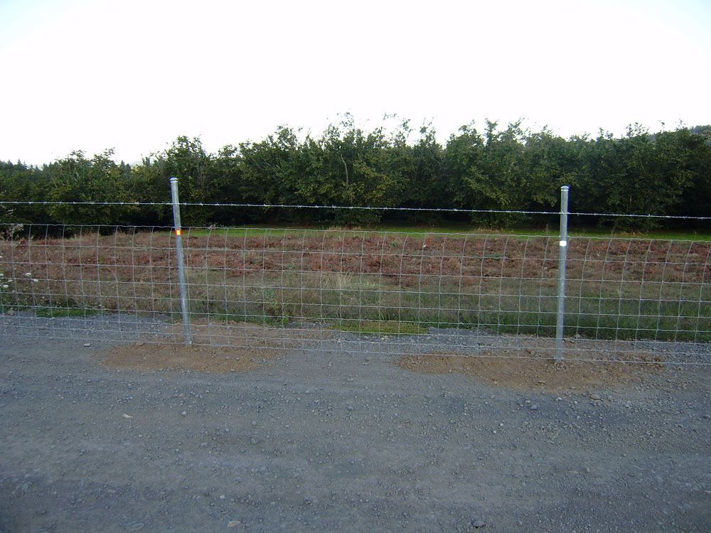 A fence surrounds a field with trees in the background
