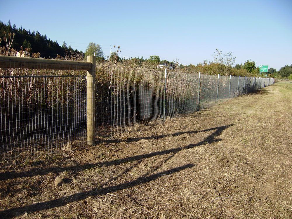 A fence along a dirt road with trees in the background.