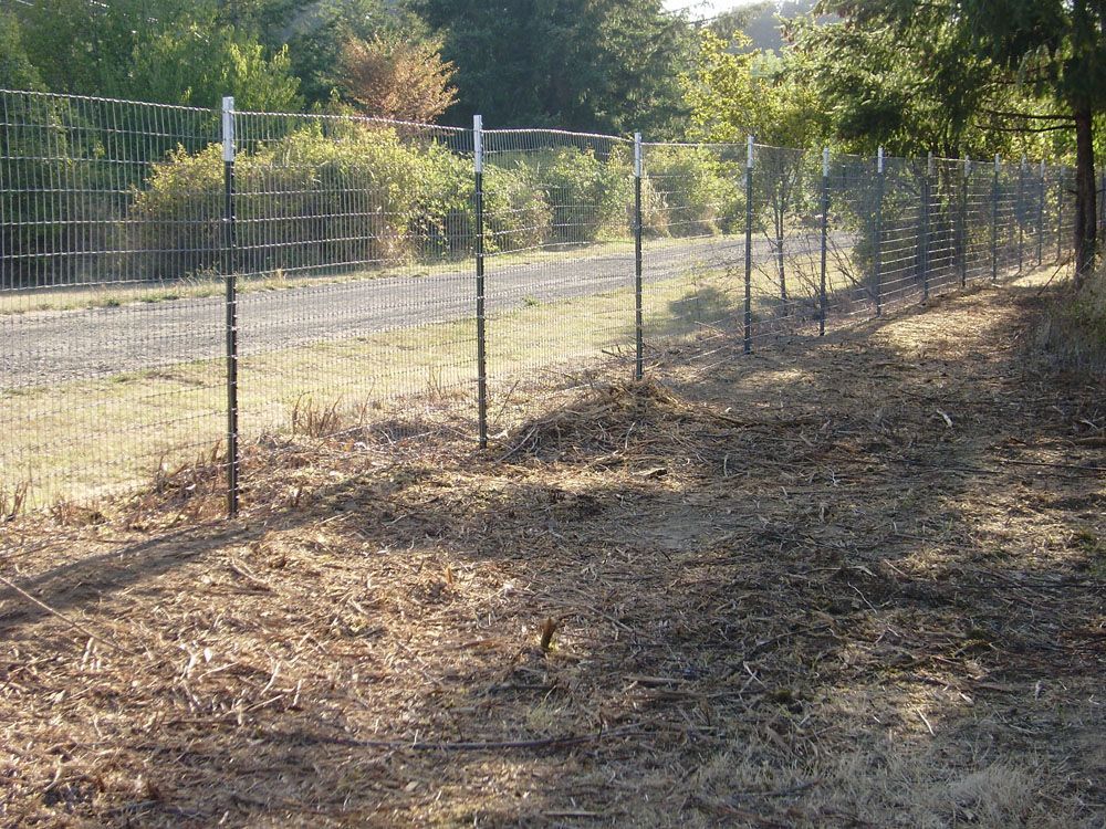 A fence surrounds a dirt field with trees in the background.