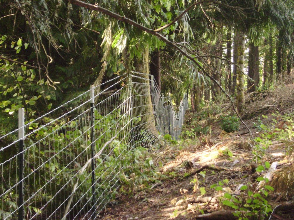 A fence in the middle of a forest with trees in the background.
