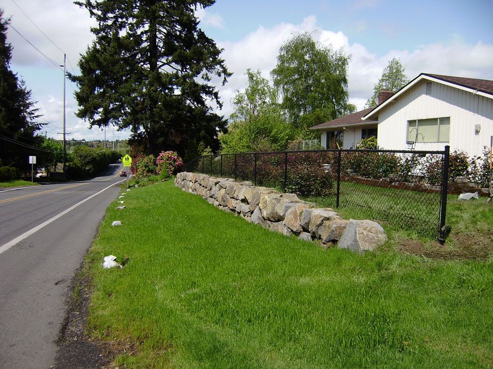 A black chain link fence surrounds a lush green yard