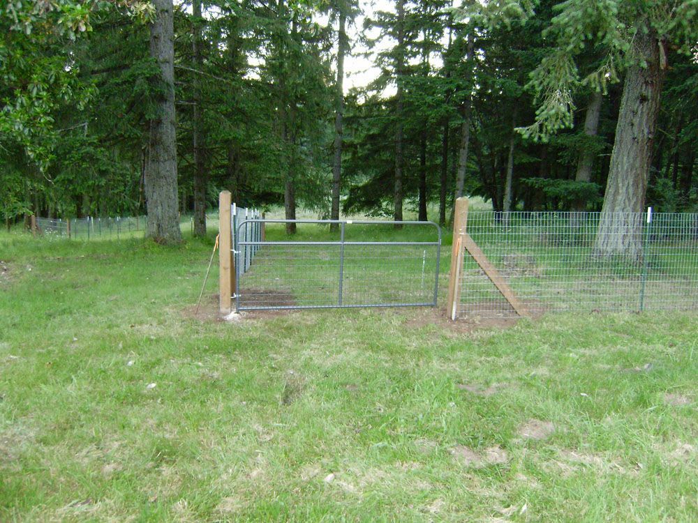 A fence in a grassy field with trees in the background