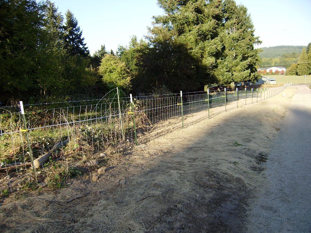 A dirt road with a fence along the side of it