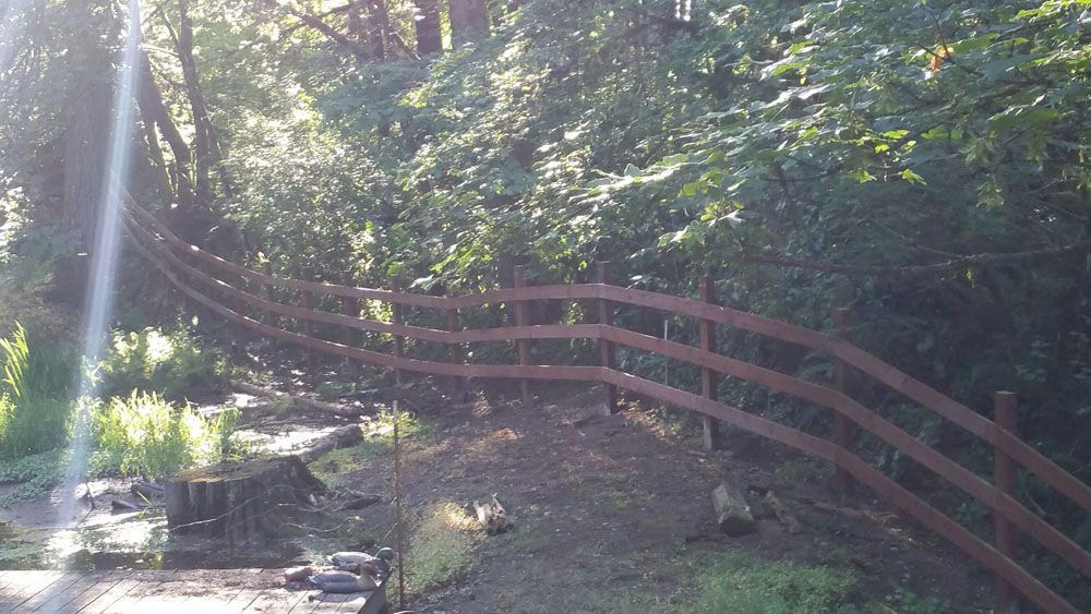 A wooden fence is surrounded by trees in the woods