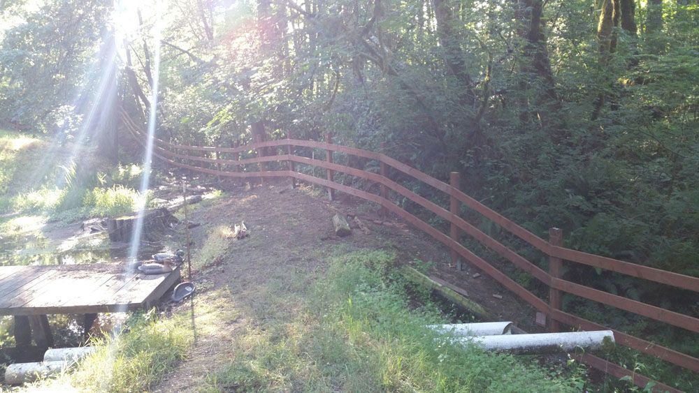 A wooden fence surrounds a path in the woods