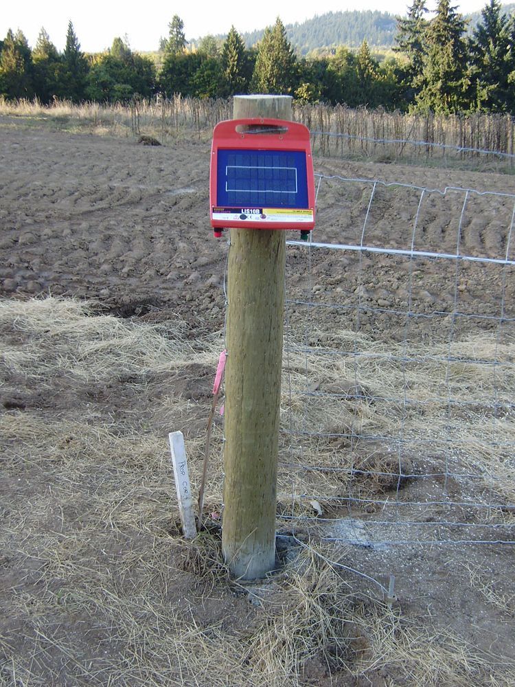 A wooden post with a red box on top of it in a field