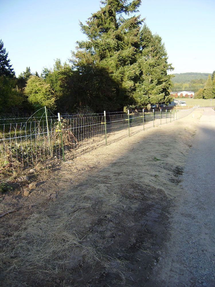 A dirt road with a fence along the side of it