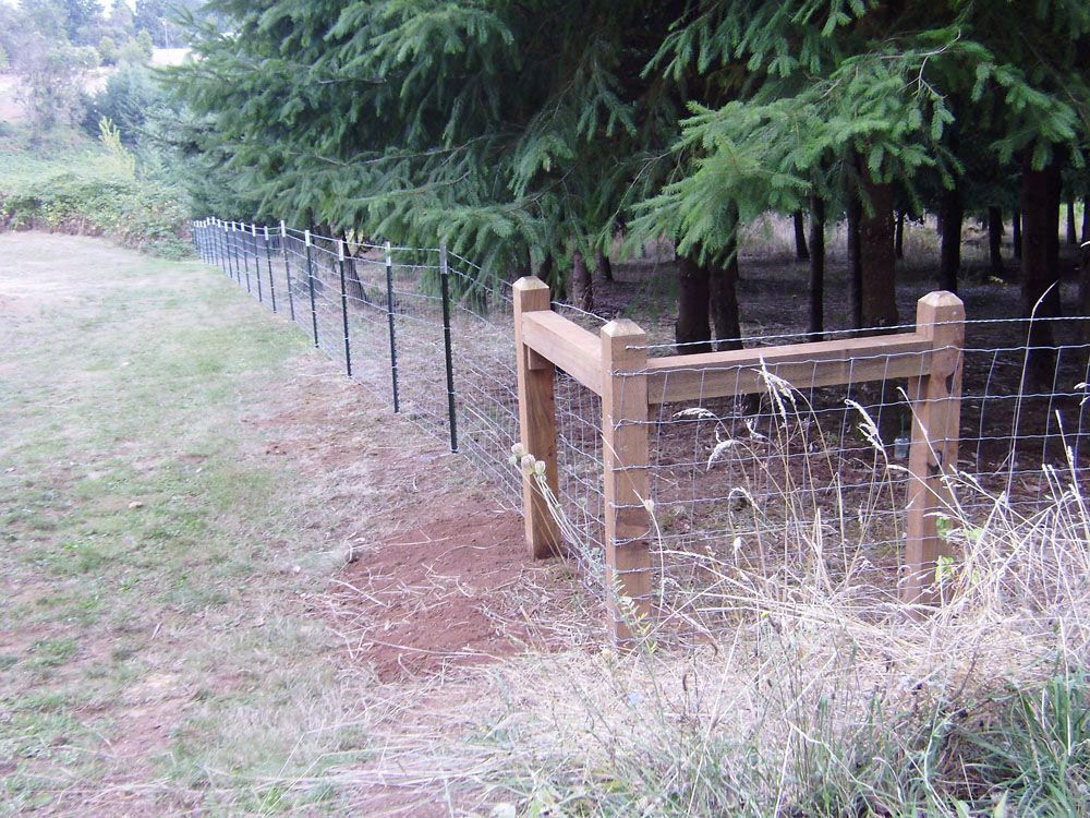 A wooden fence surrounds a field with trees in the background