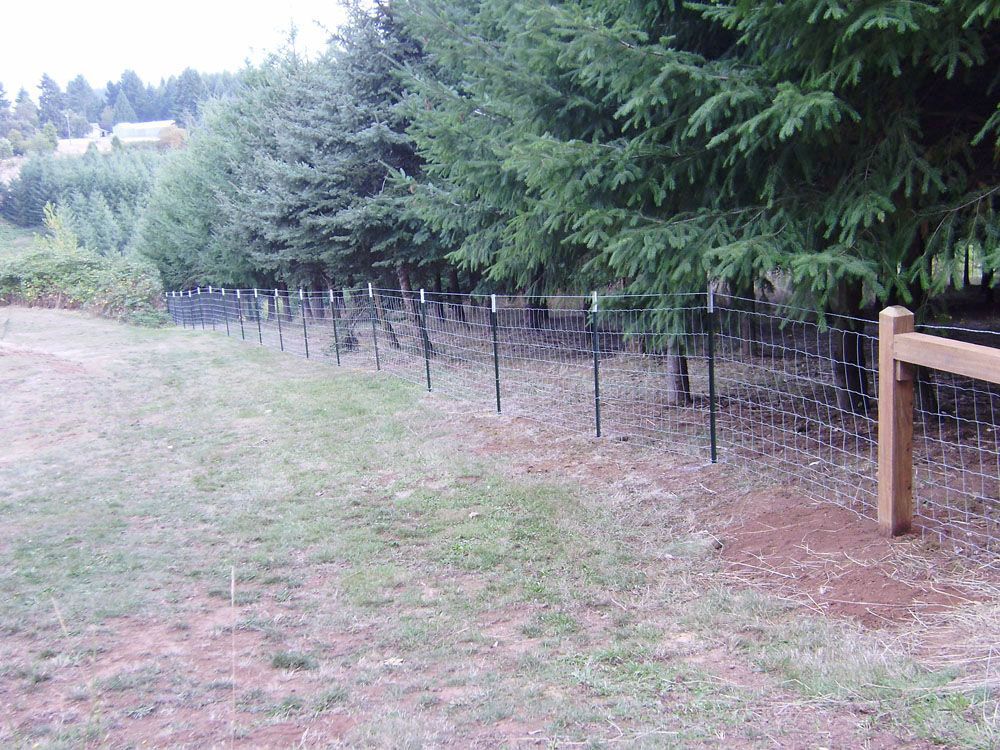 A wooden fence surrounds a grassy field with trees in the background