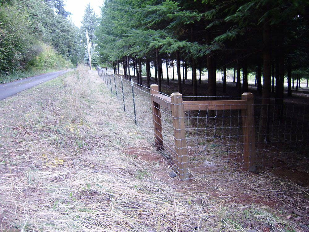 A wooden fence is surrounded by trees next to a road