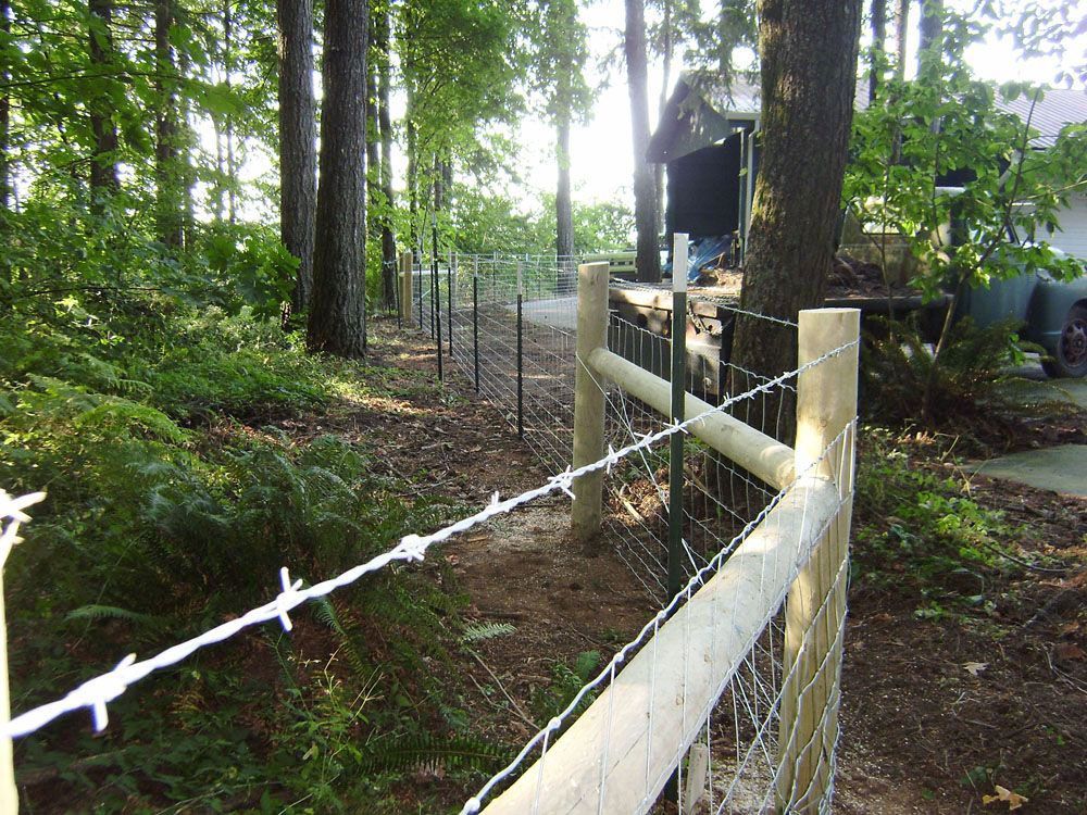 A barbed wire fence surrounds a house in the woods