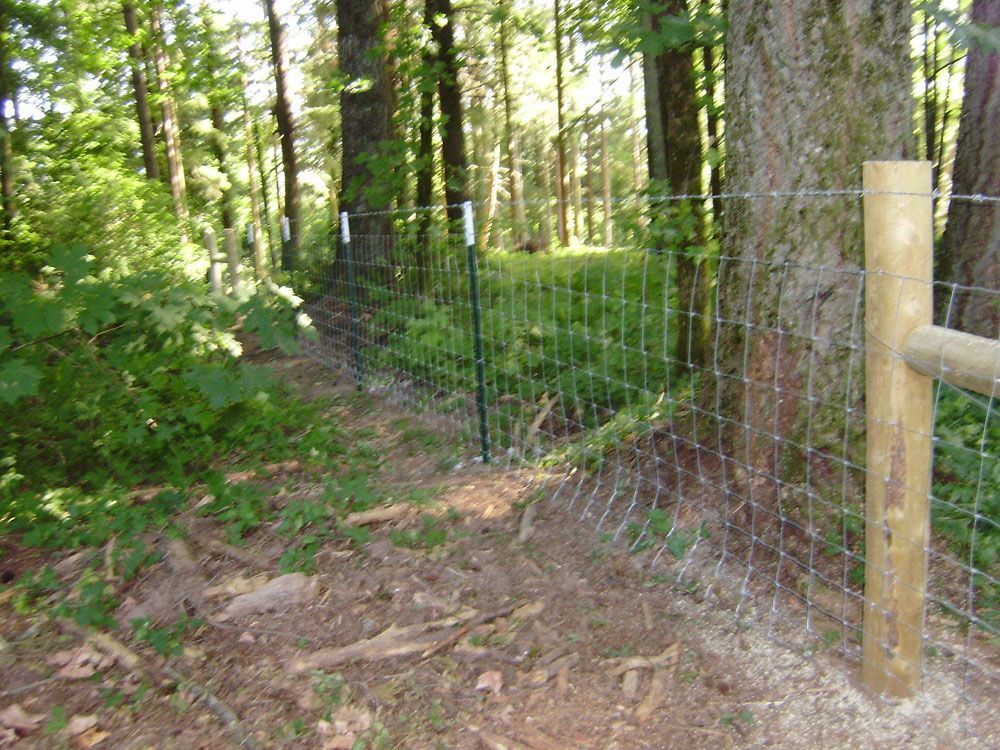 A fence with a wooden post in the middle of a forest