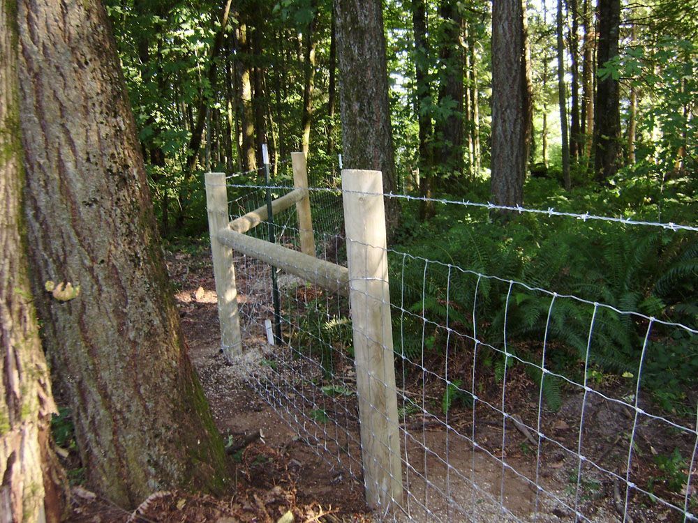A wooden fence in the middle of a forest