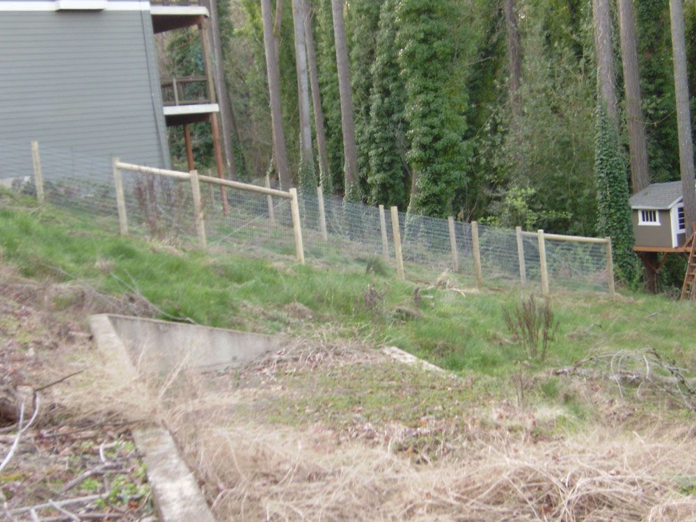 A house is behind a fence in the middle of a forest