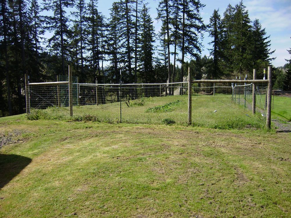 A fence surrounds a grassy field with trees in the background
