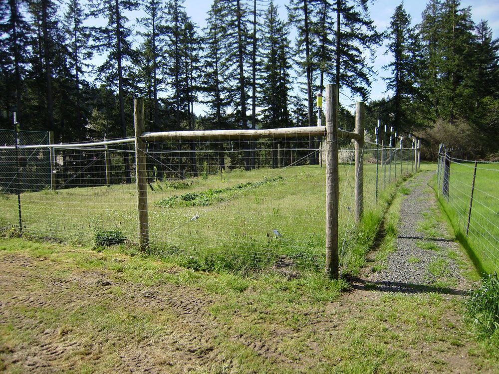 A well-built fence surrounds a grassy field with trees in the background