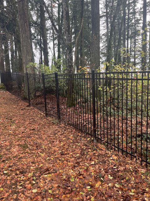 A black fence surrounds a path in the woods