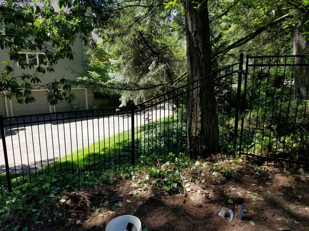A black metal fence is surrounded by trees in a yard