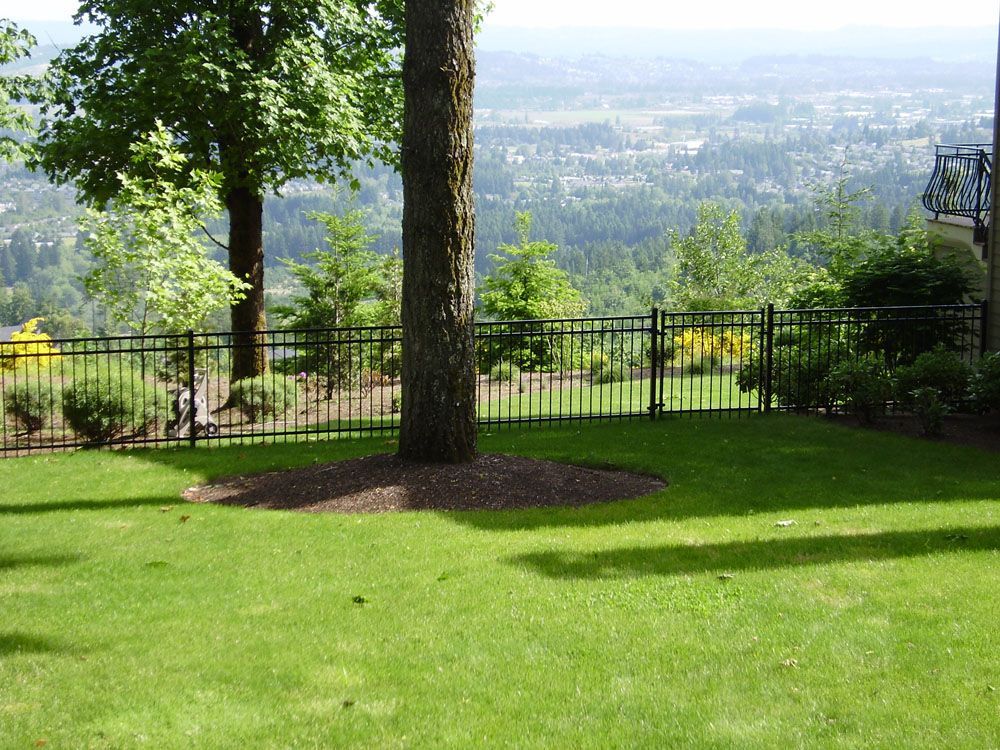 A fenced in yard with a view of a city