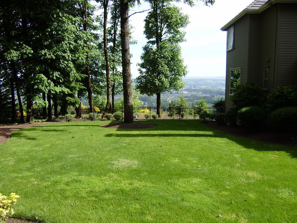 A house with a lush green lawn in front of it