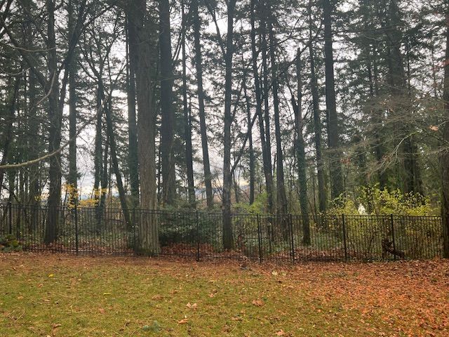 A backyard with a fence and trees in the background
