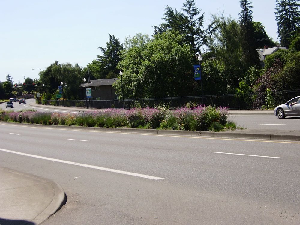 A white car is driving down a road with trees in the background