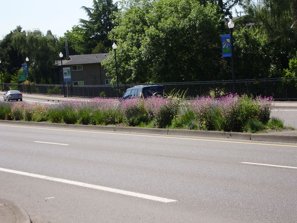 A street with a sign that says bike on it