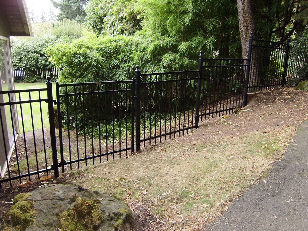 A black metal fence surrounds a yard with trees in the background