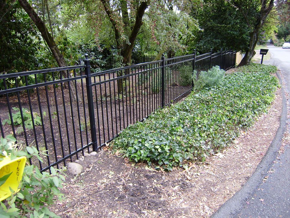 A black metal fence surrounds a lush green field