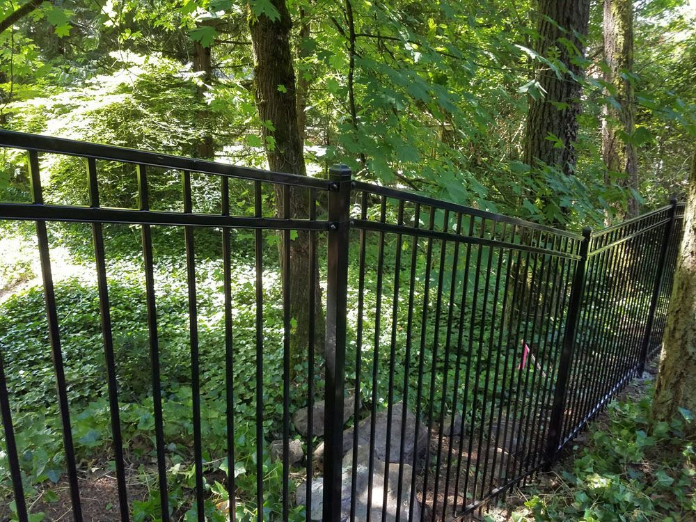 A black metal fence surrounds a path in the woods