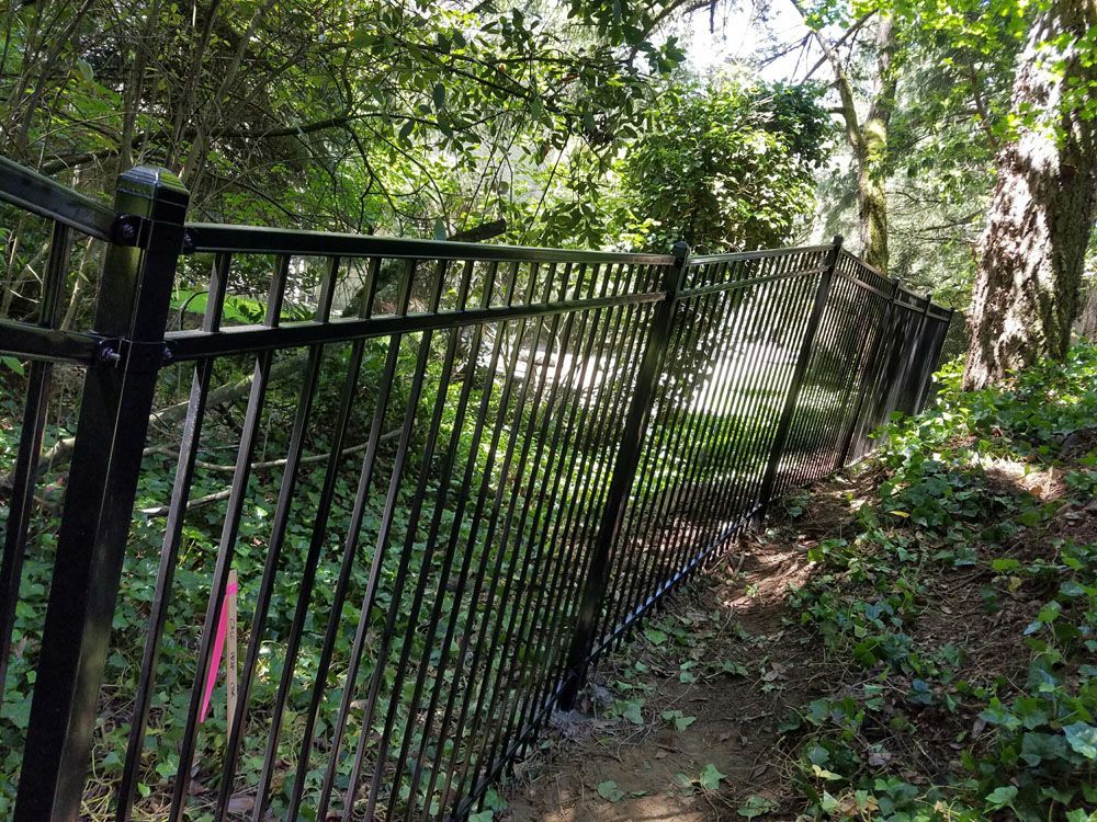 A black fence surrounds a path in the woods